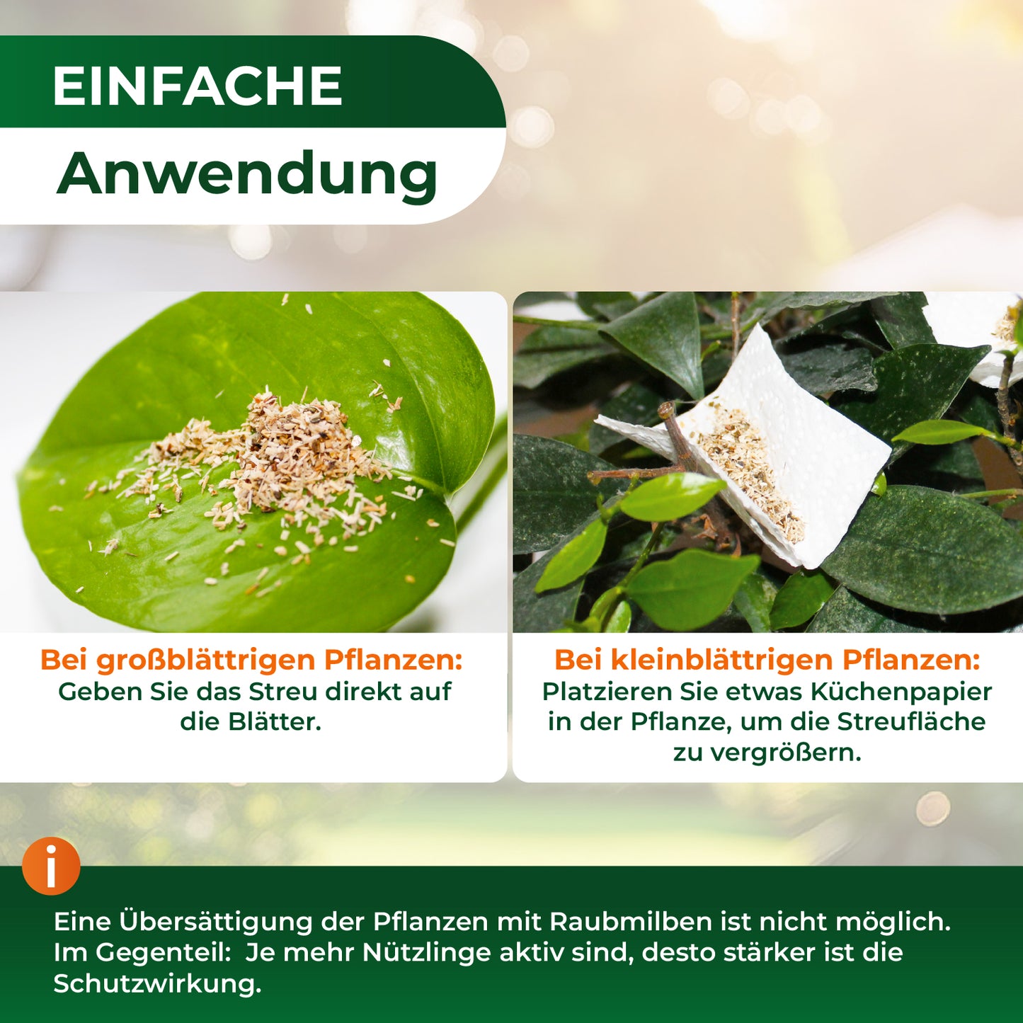 Raubmilben gegen Spinnmilben