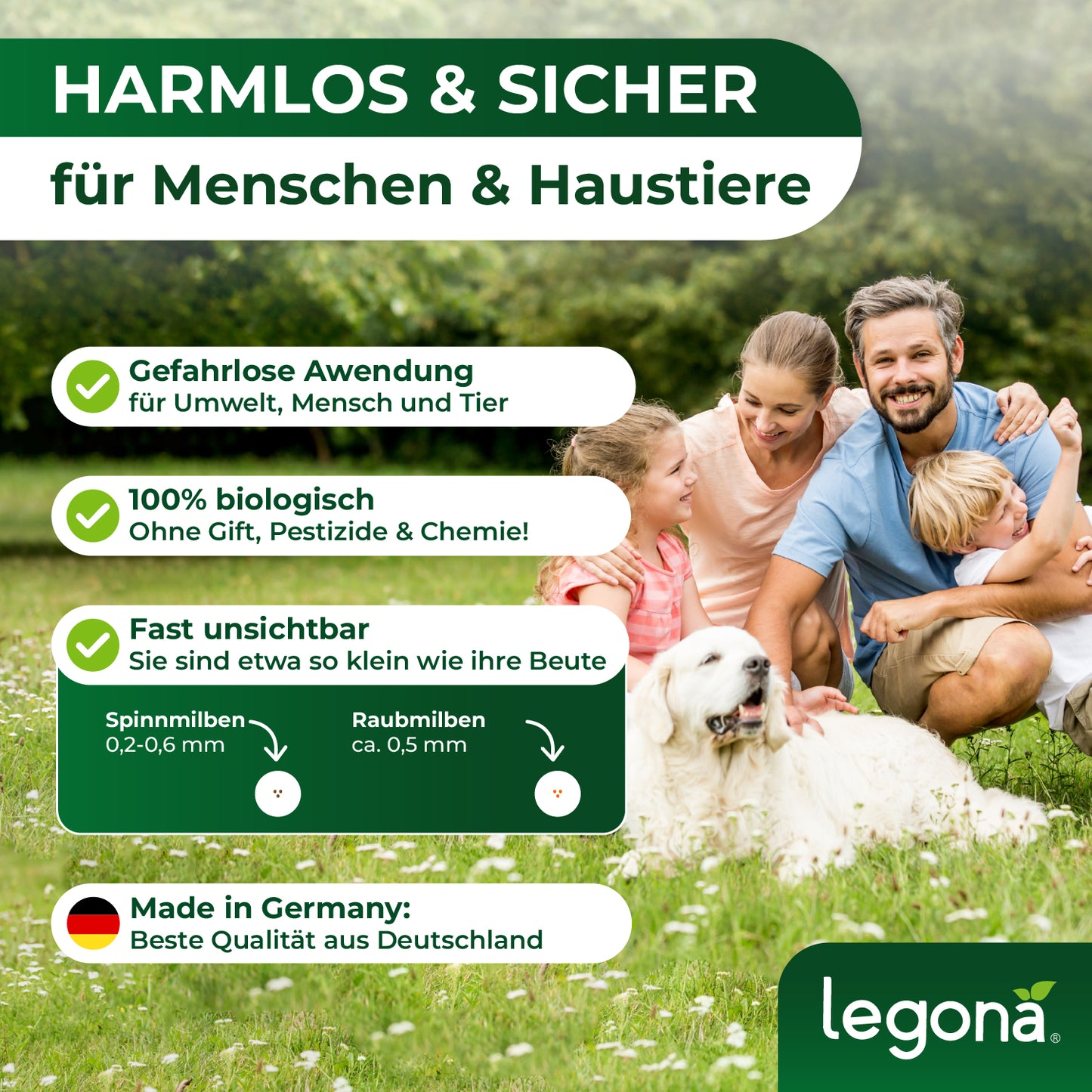 Raubmilben gegen Spinnmilben