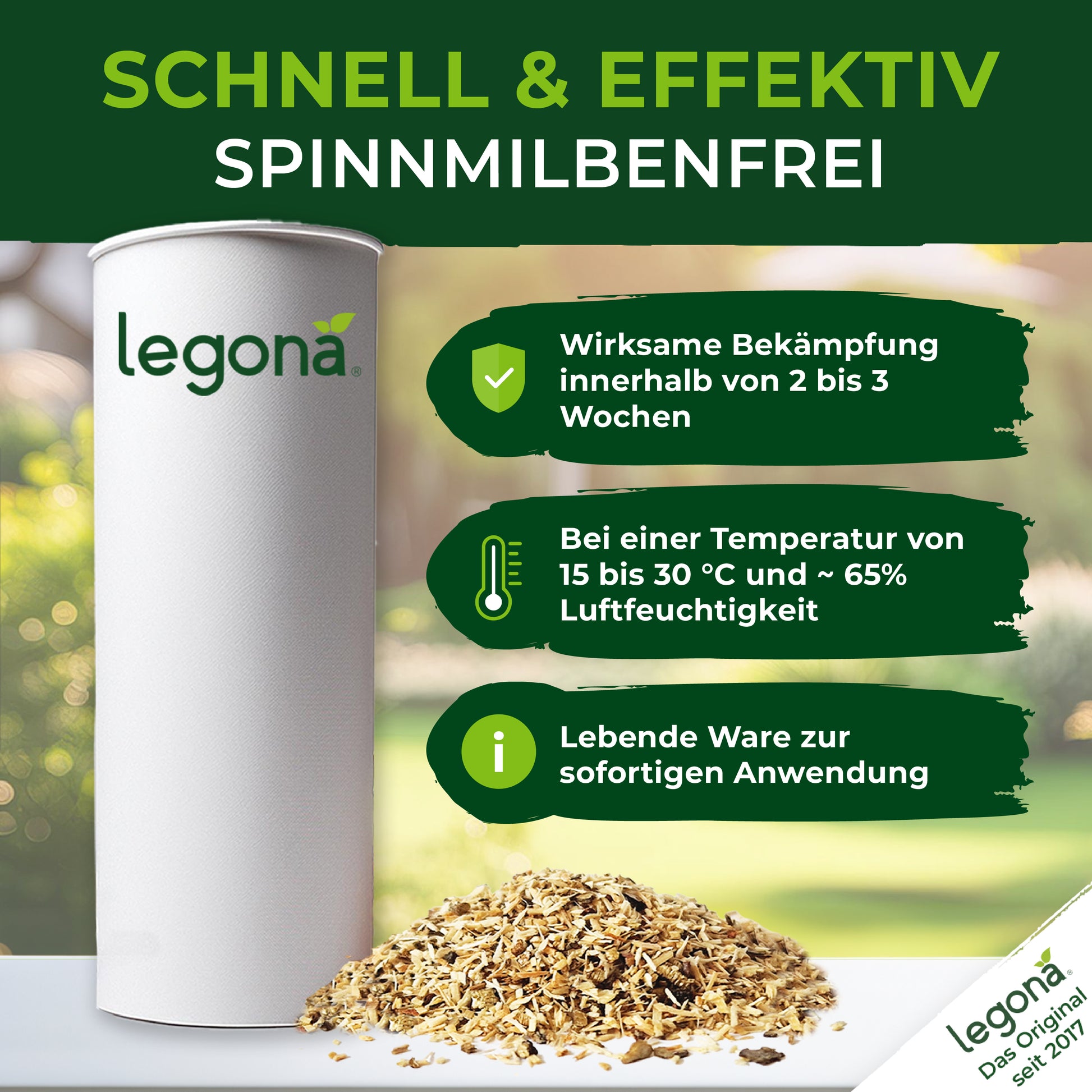 Raubmilben gegen Spinnmilben.