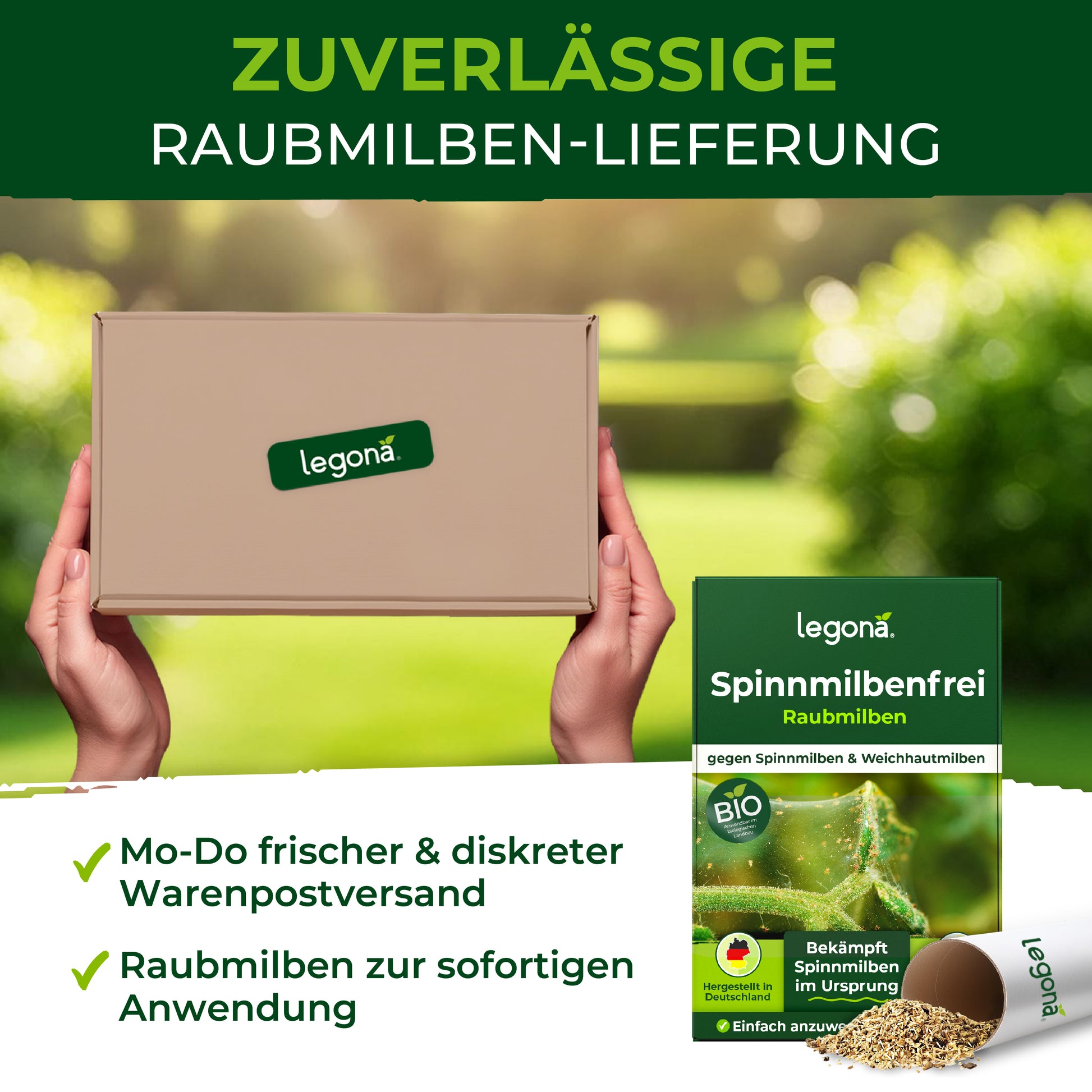 Raubmilben gegen Spinnmilben.