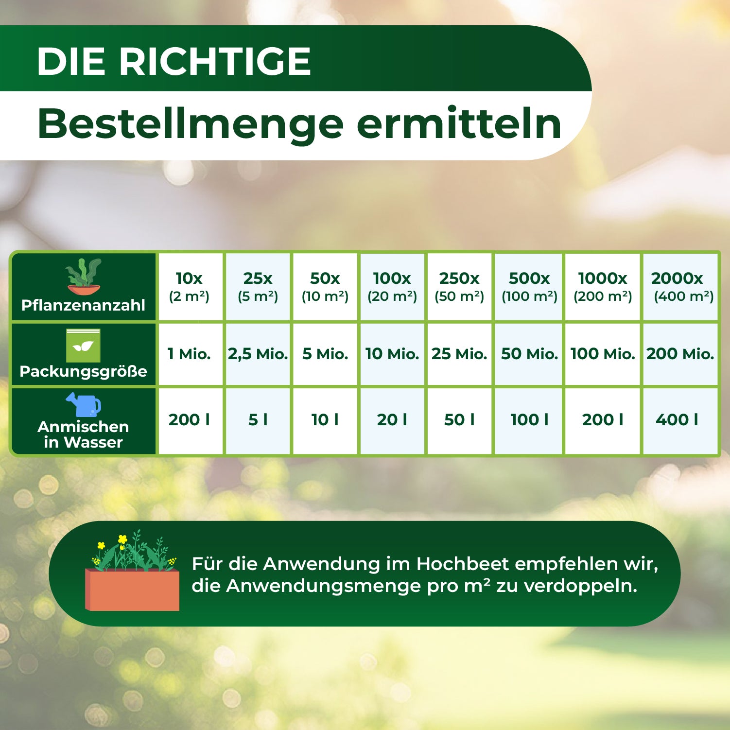 Tabelle zur Ermittlung der Bestellmenge von Nematoden mit Spalten für Pflanzenanzahl, Packungsgröße und Wassermenge zum Anmischen sowie Hinweis zur Verdopplung der Anwendungsmenge im Hochbeet