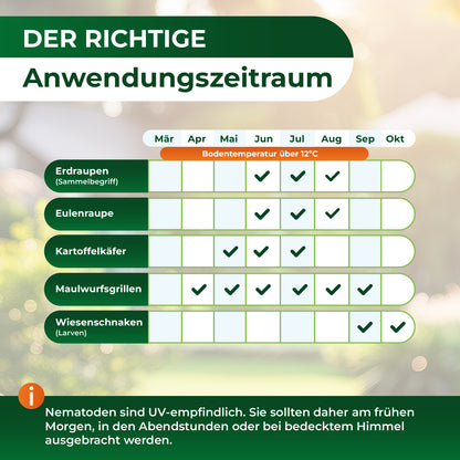 Tabelle mit Anwendungszeiträumen für Nematoden gegen verschiedene Schädlinge von März bis Oktober bei Bodentemperatur über 12 Grad Celsius