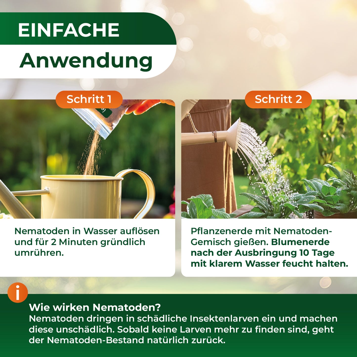 SC-Nematoden gegen Maulwurfsgrillen und Wiesenschnaken.