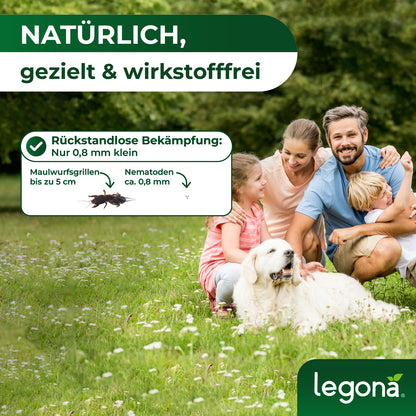 SC-Nematoden gegen Maulwurfsgrillen und Wiesenschnaken