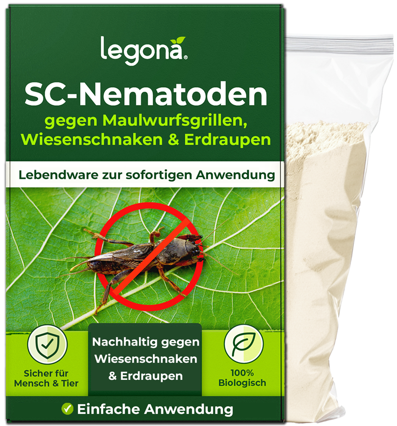 SC-Nematoden gegen Maulwurfsgrillen und Wiesenschnaken