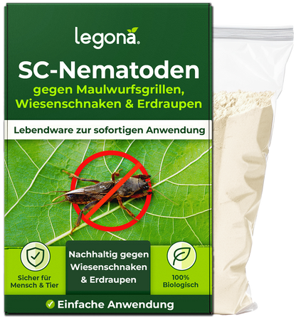 SC-Nematoden gegen Maulwurfsgrillen und Wiesenschnaken