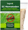 SC-Nematoden gegen Maulwurfsgrillen und Wiesenschnaken