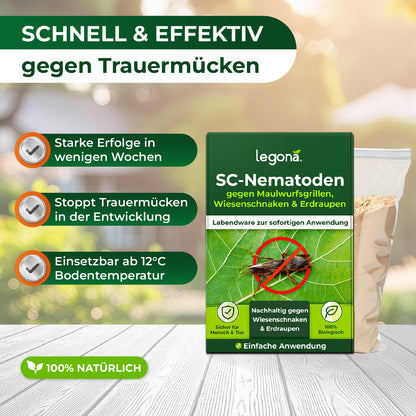 SF-Nematoden gegen Trauermücken und Rüsselkäfer