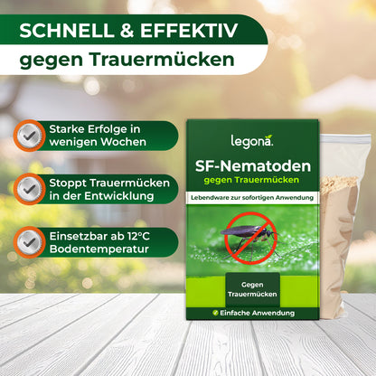 SF-Nematoden gegen Trauermücken und Rüsselkäfer