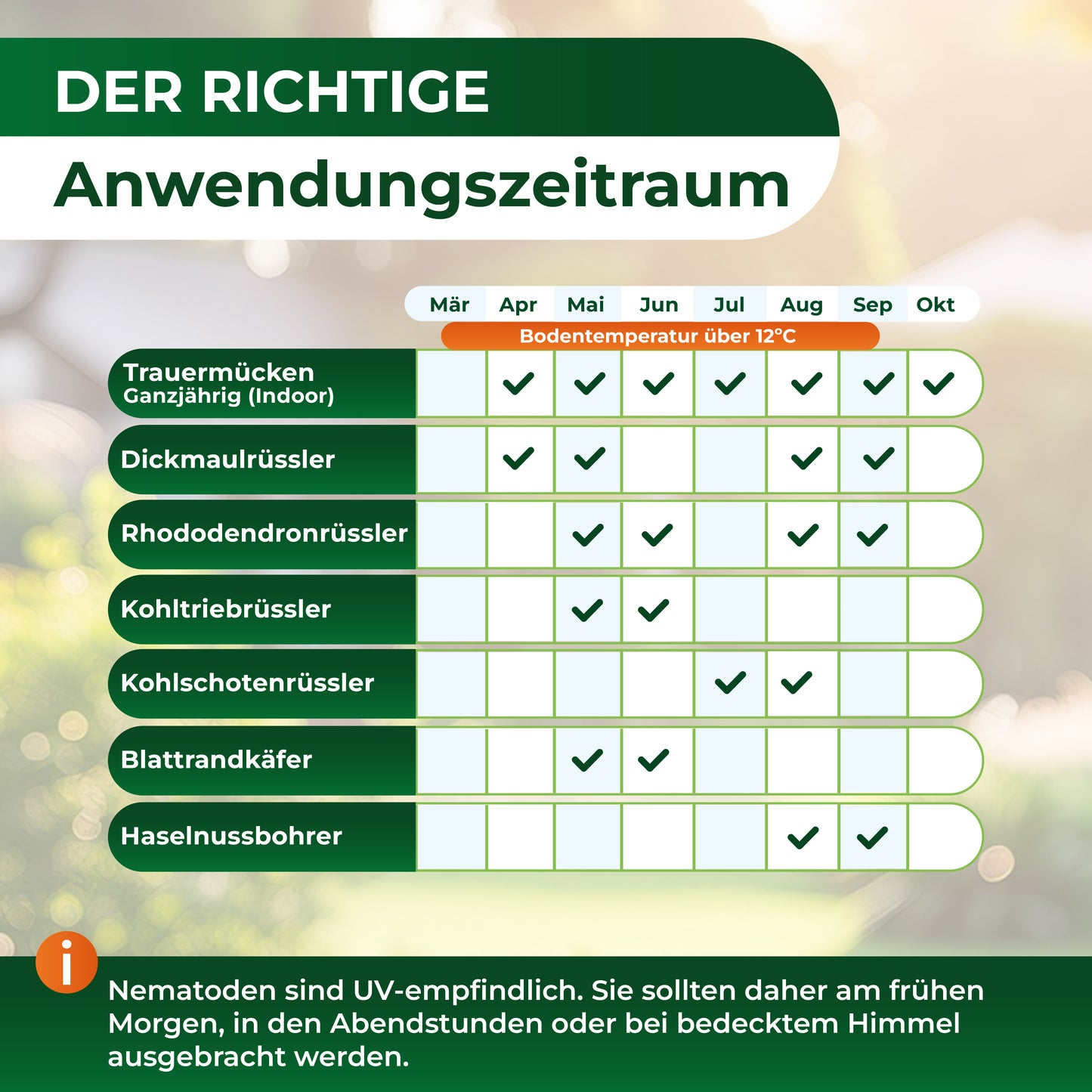 SF-Nematoden gegen Trauermücken