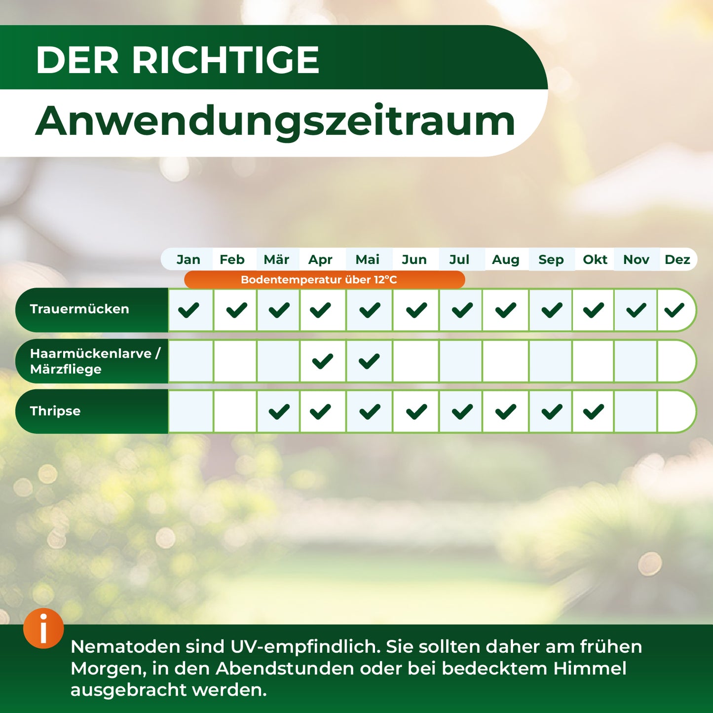 SF-Nematoden gegen Trauermücken und Rüsselkäfer