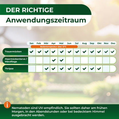 SF-Nematoden gegen Trauermücken und Rüsselkäfer