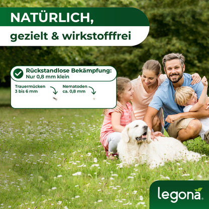SF-Nematoden gegen Trauermücken und Rüsselkäfer
