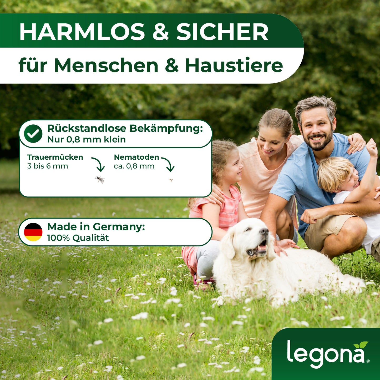 SF-Nematoden gegen Trauermücken und Rüsselkäfer
