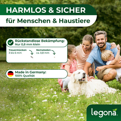 SF-Nematoden gegen Trauermücken und Rüsselkäfer