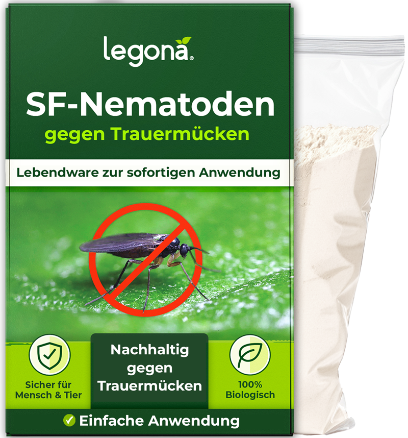 SF-Nematoden gegen Trauermücken und Rüsselkäfer