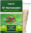SF-Nematoden gegen Trauermücken und Rüsselkäfer