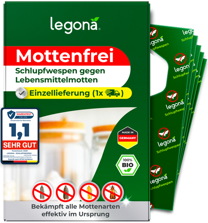 Schlupfwespen gegen Lebensmittelmotten
