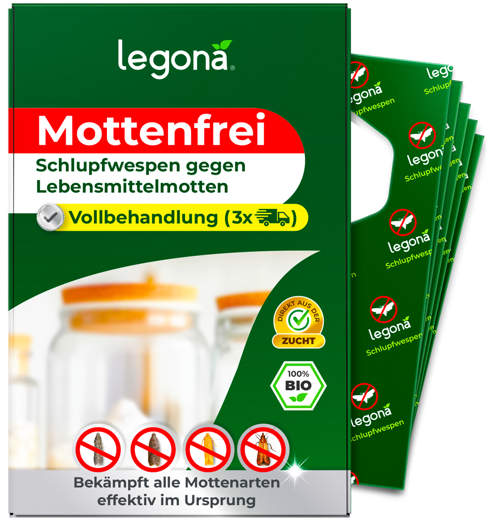 Schlupfwespen gegen Lebensmittelmotten