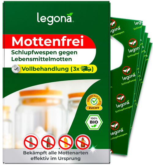 Schlupfwespen gegen Lebensmittelmotten