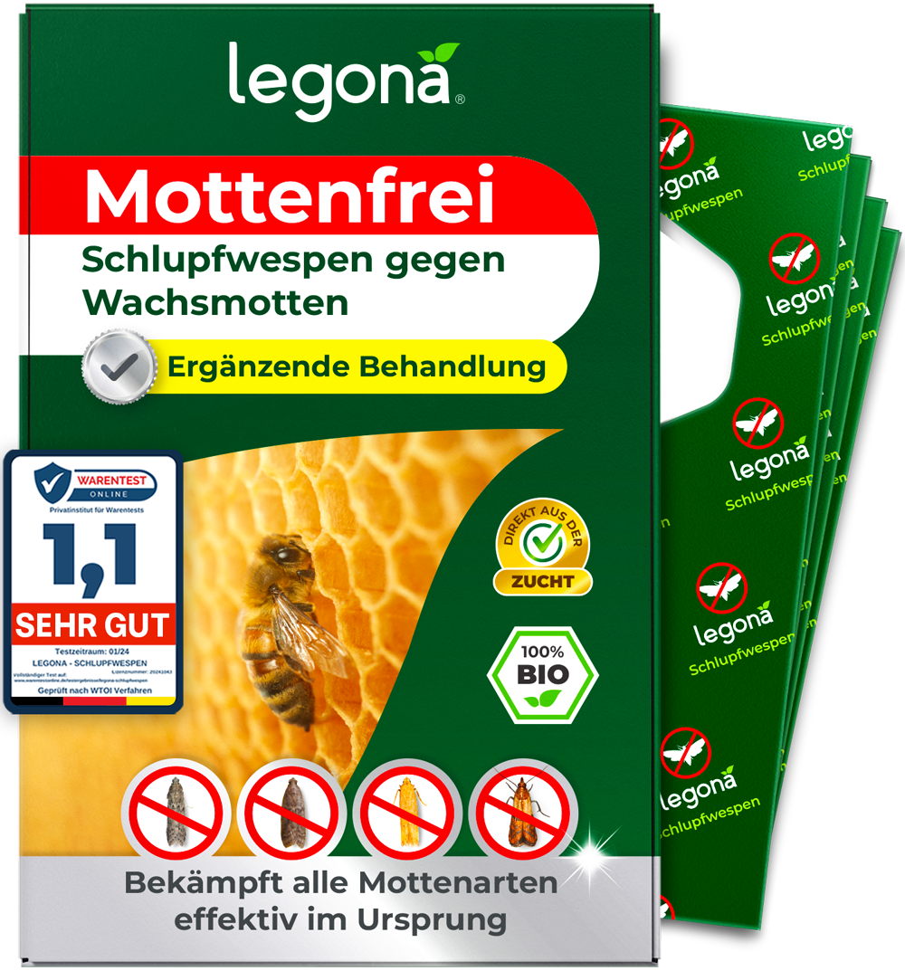 Schlupfwespen gegen Wachsmotten