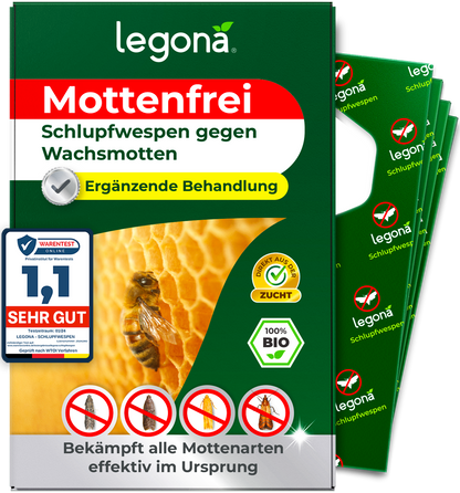 Schlupfwespen gegen Wachsmotten