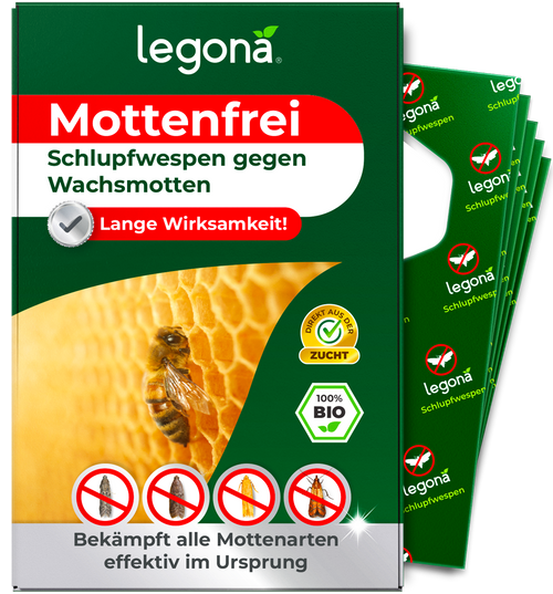 Schlupfwespen gegen Wachsmotten