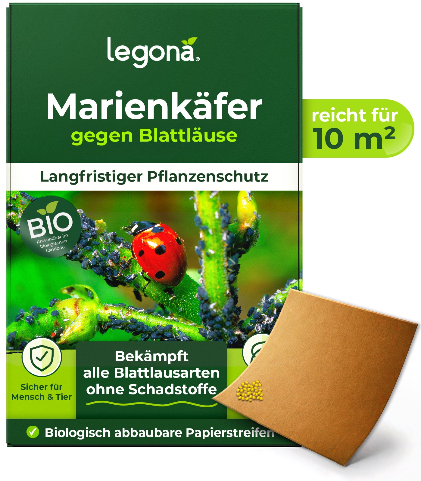 Marienkäferlarven gegen Blattläuse.