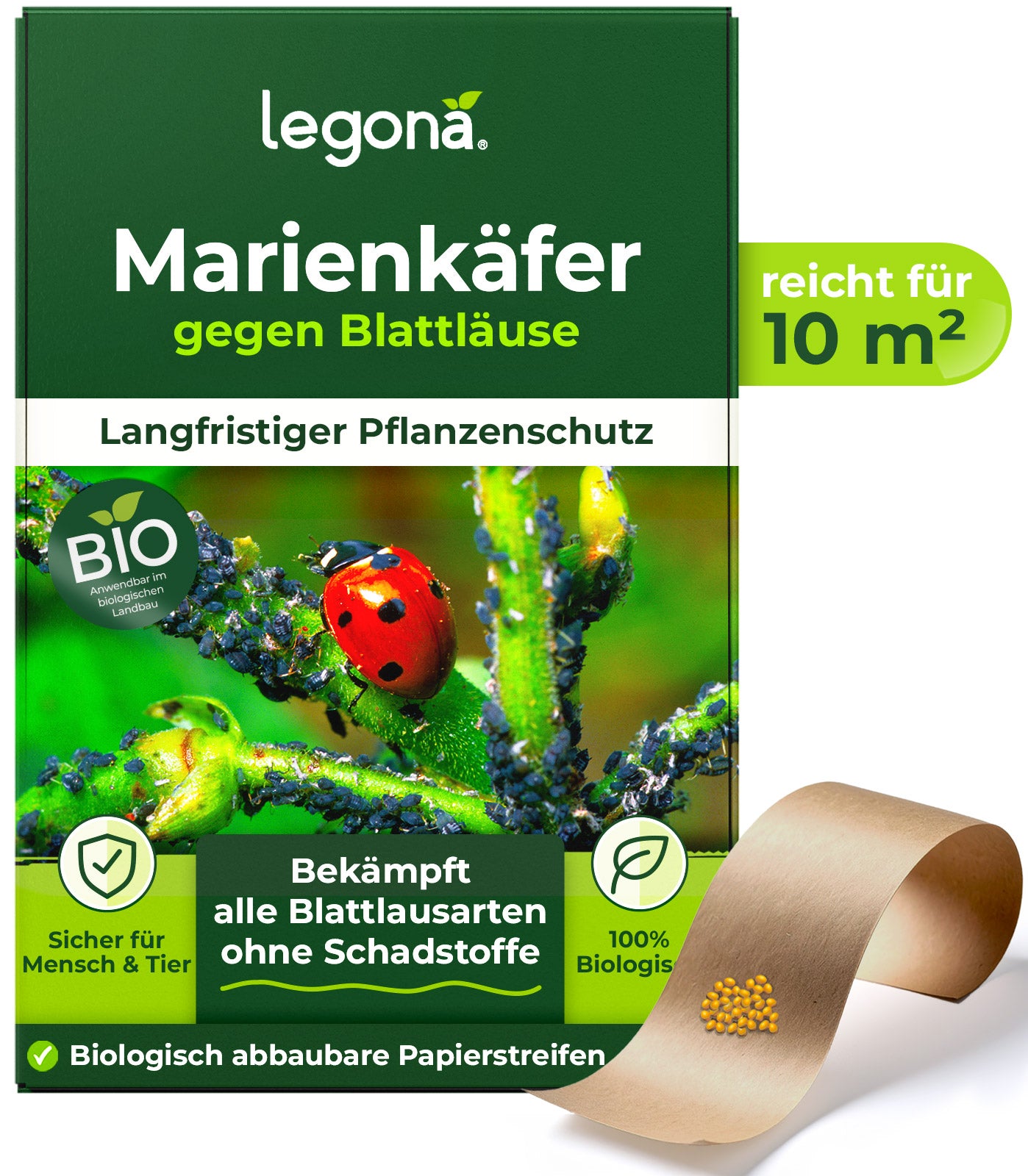 Marienkäferlarven gegen Blattläuse