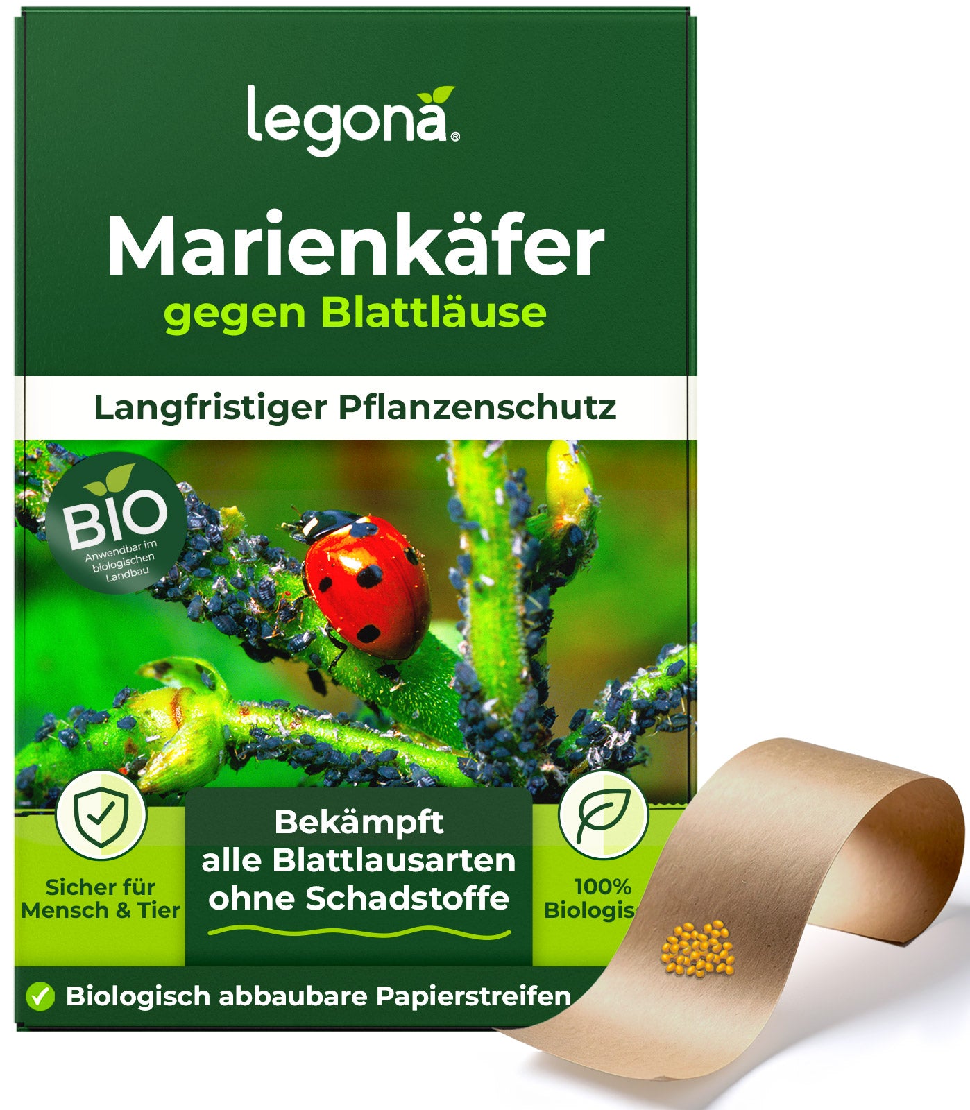 Marienk ferlarven Nat rliche Sch dlingsbek mpfung Gegen Blattl use marienk-ferlarven-nat-rliche-sch-dlingsbek-mpfung-gegen-blattl-use