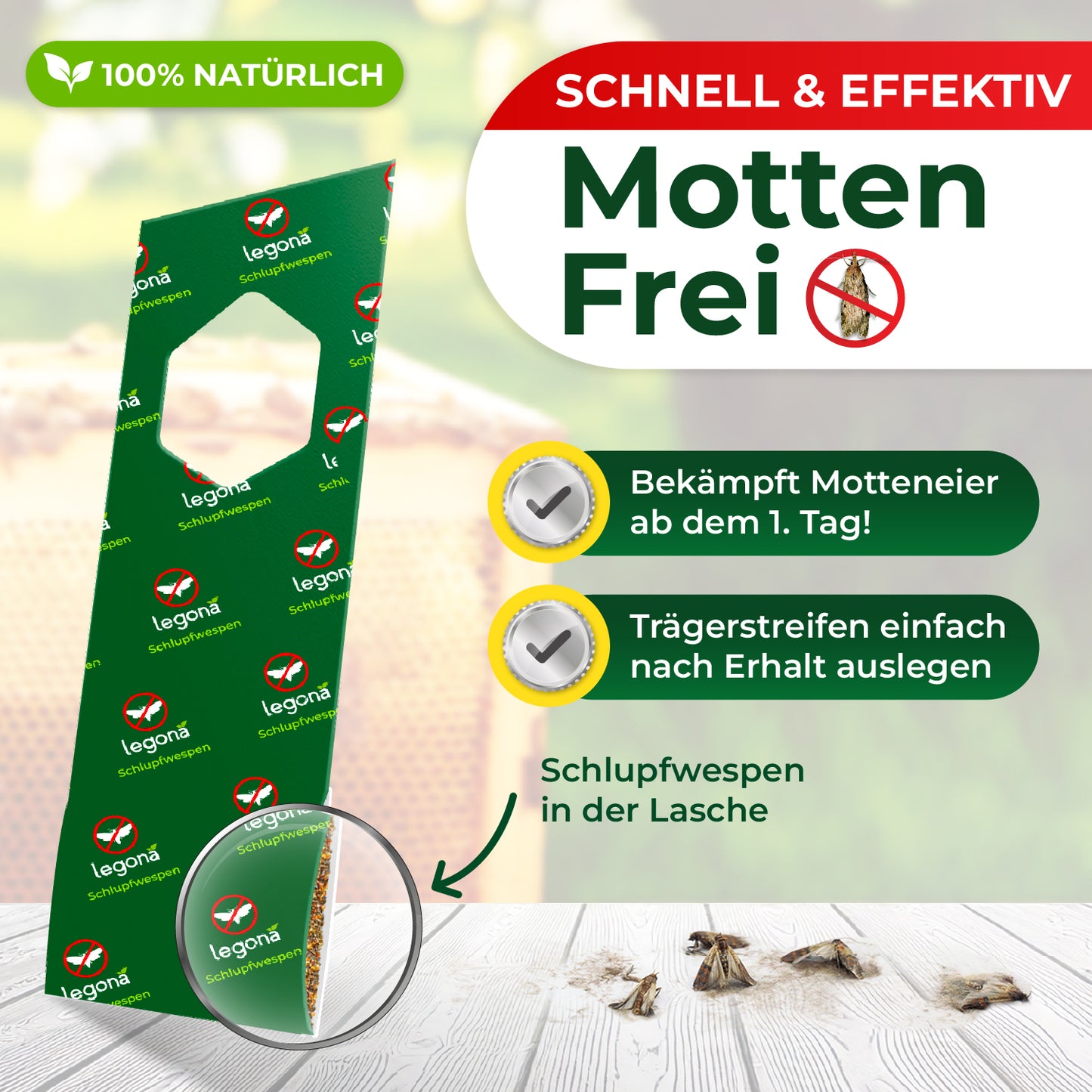 Schlupfwespen gegen Wachsmotten