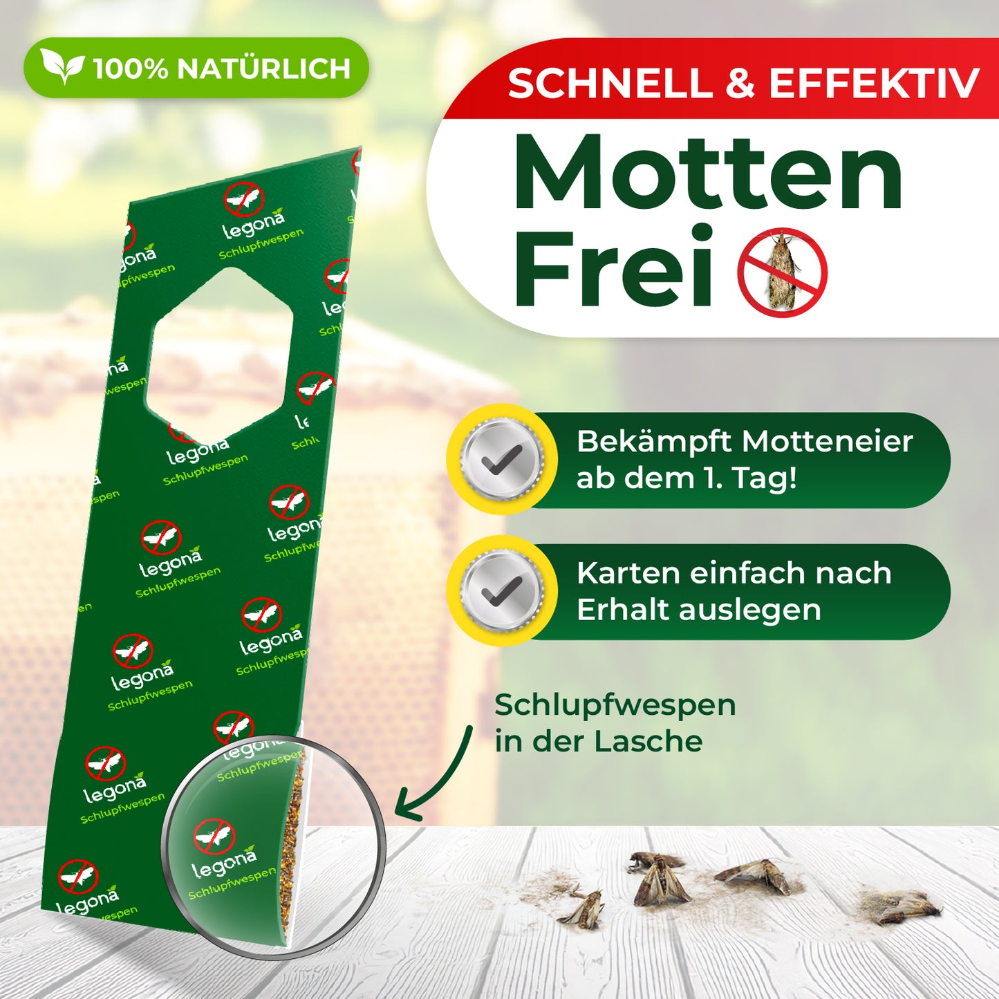 Schlupfwespen gegen Wachsmotten
