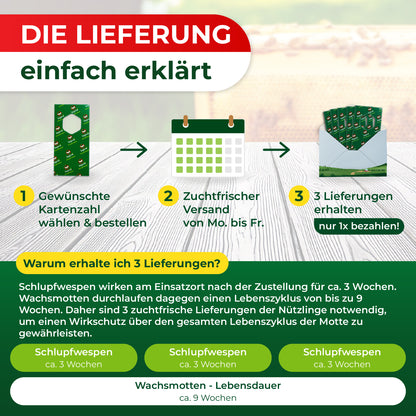 Schlupfwespen gegen Wachsmotten