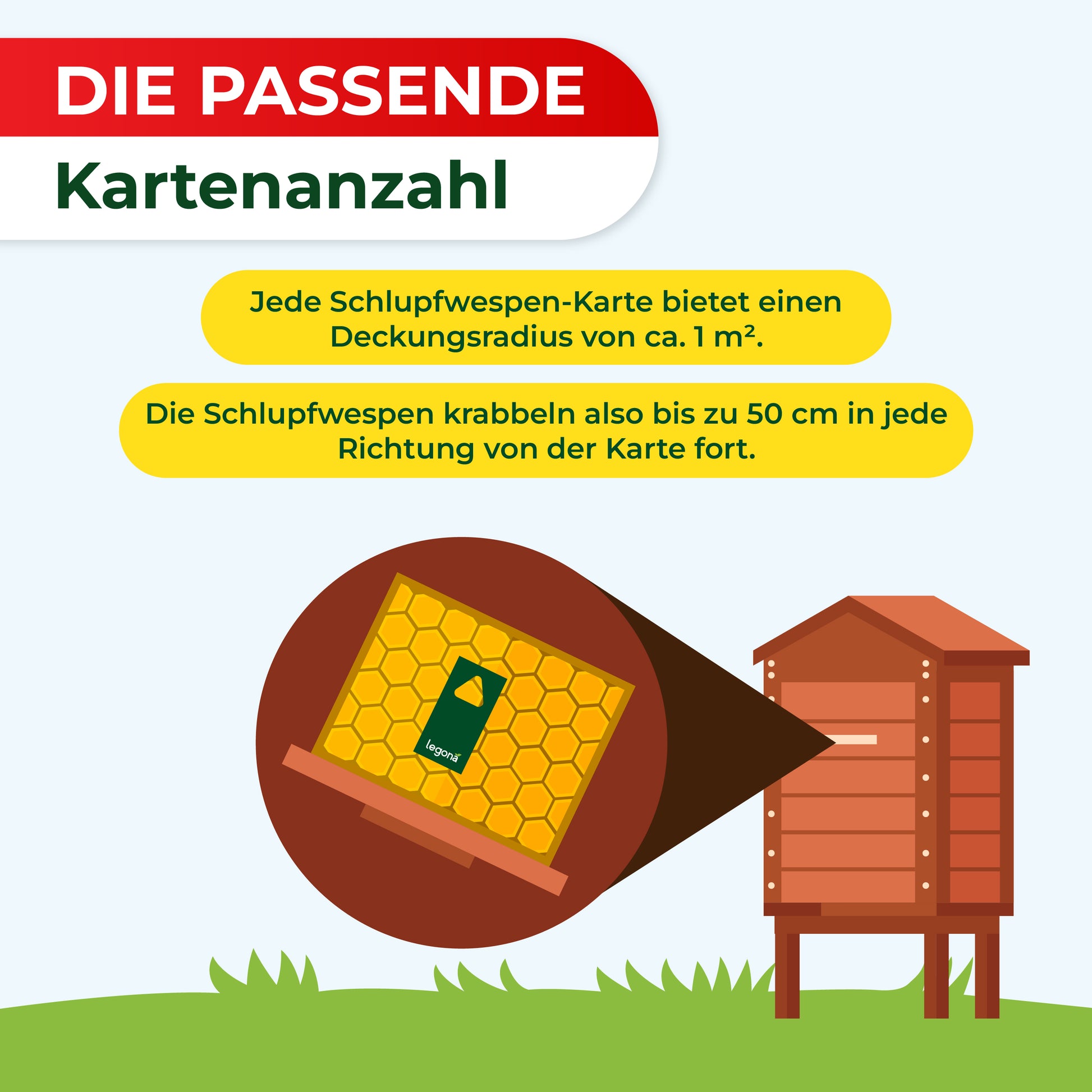 Legona Schlupfwespen gegen Wachsmotten: Jede Karte deckt ca. 1 m² ab, Wespen krabbeln bis zu 50 cm in jede Richtung von der Karte.