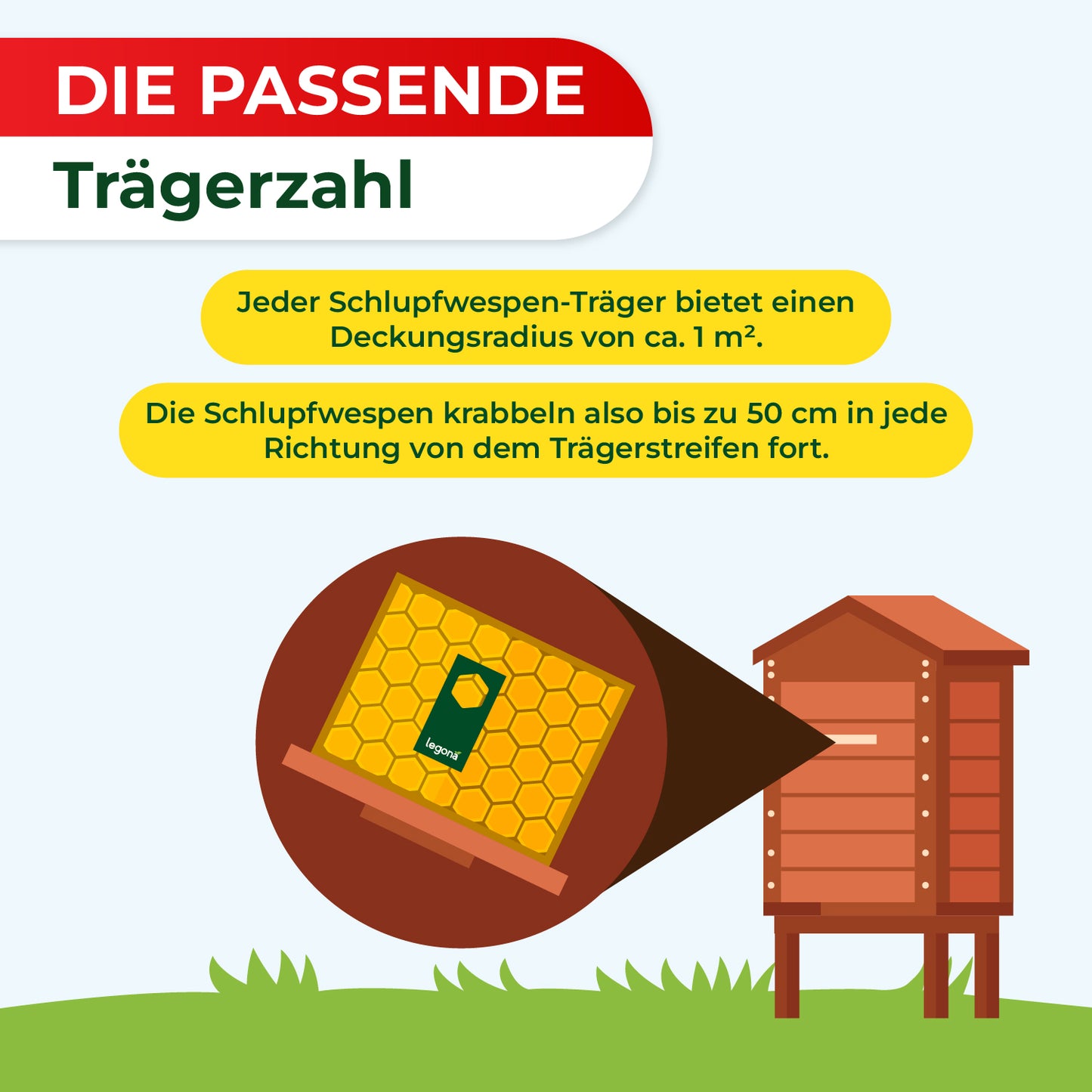 Schlupfwespen gegen Wachsmotten
