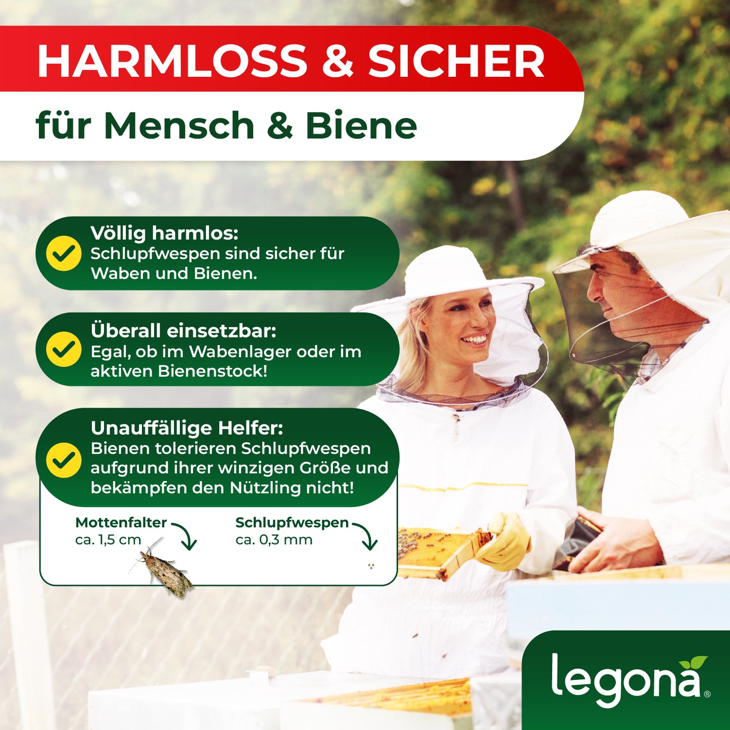 Schlupfwespen gegen Wachsmotten