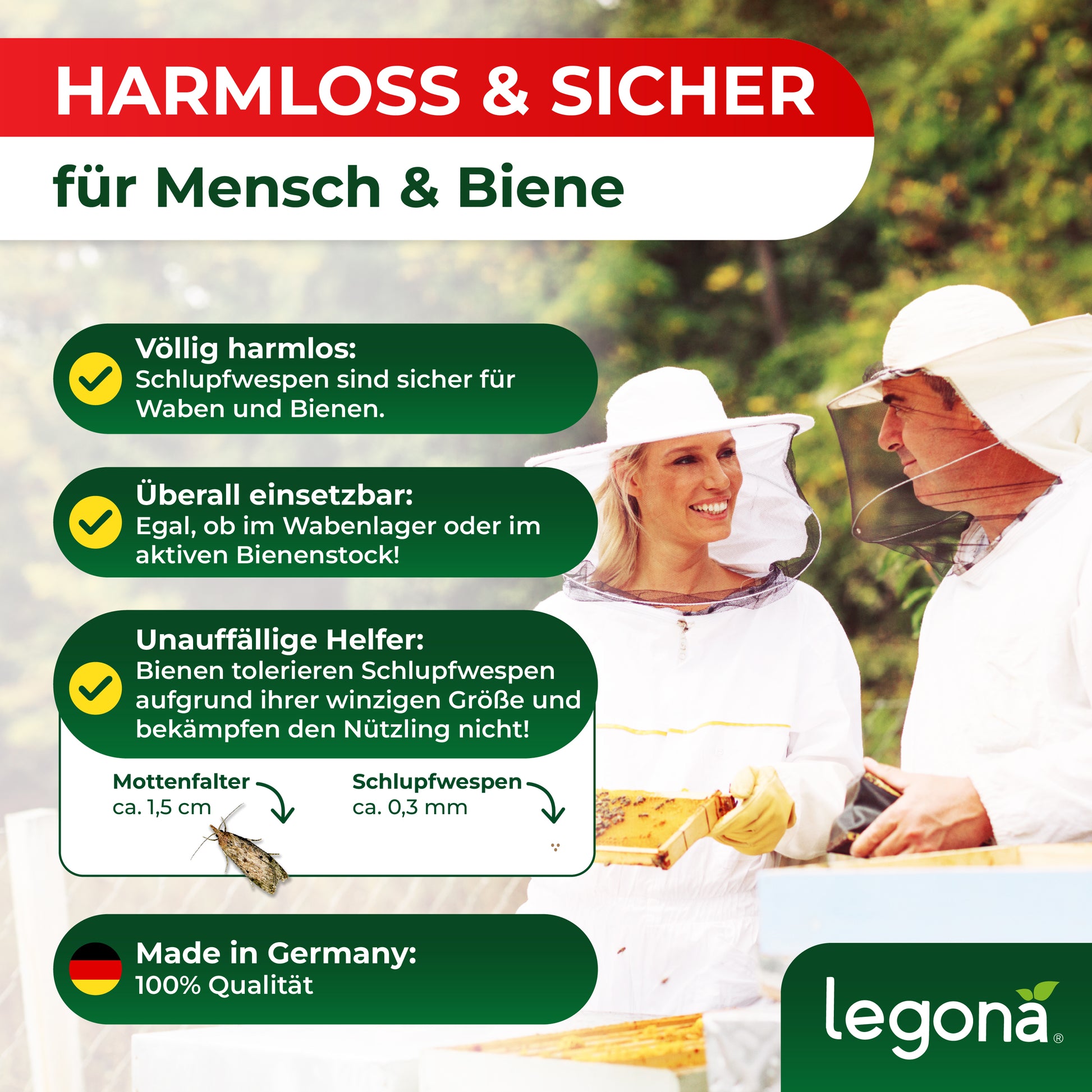 Legona Schlupfwespen gegen Wachsmotten, harmlos und sicher für Menschen und Bienen sind, überall einsetzbar und von Bienen toleriert