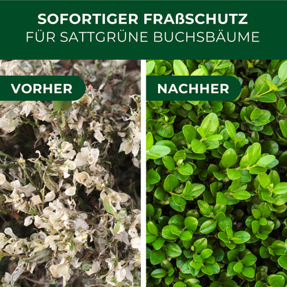 XenTari Zünslerfrei & Raupenfrei