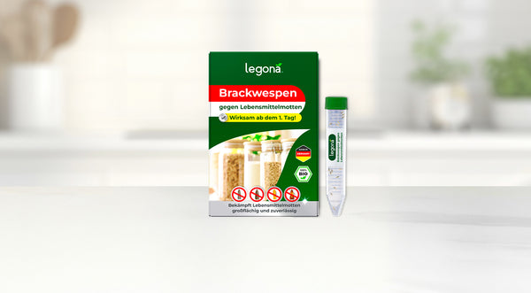 Verpackung von 'Legona Brackwespen gegen Lebensmittelmotten', zeigt eine Box mit Abbildungen von Gläsern mit Lebensmitteln und einer Spritze.