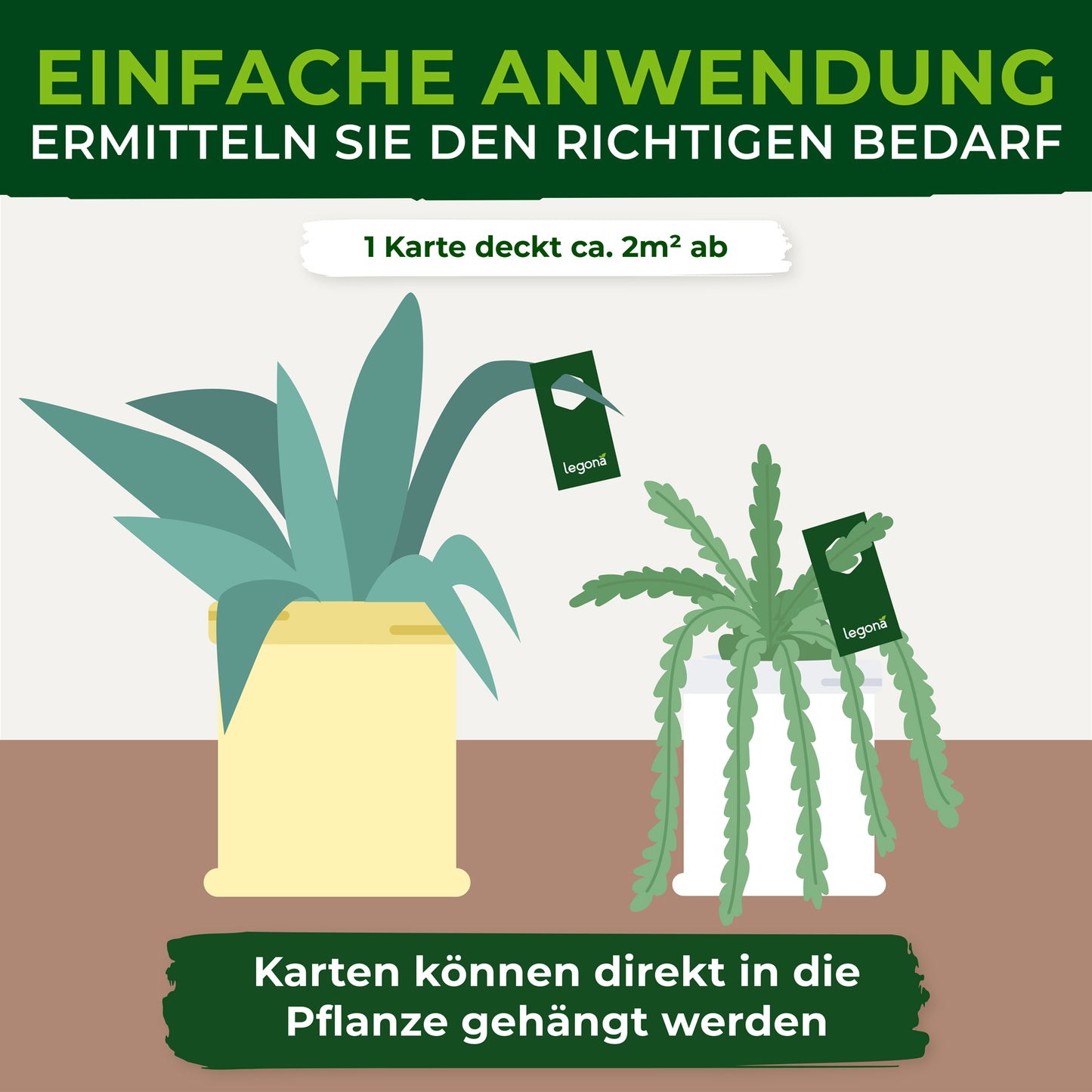Florfliegenlarven gegen Blattläuse und Thripse.