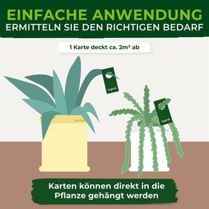 Florfliegenlarven gegen Blattläuse und Thripse.