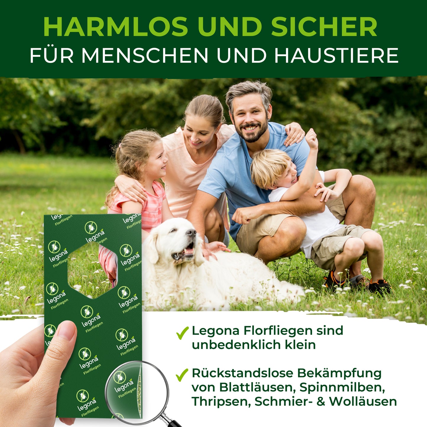 Florfliegenlarven gegen Blattläuse und Thripse.