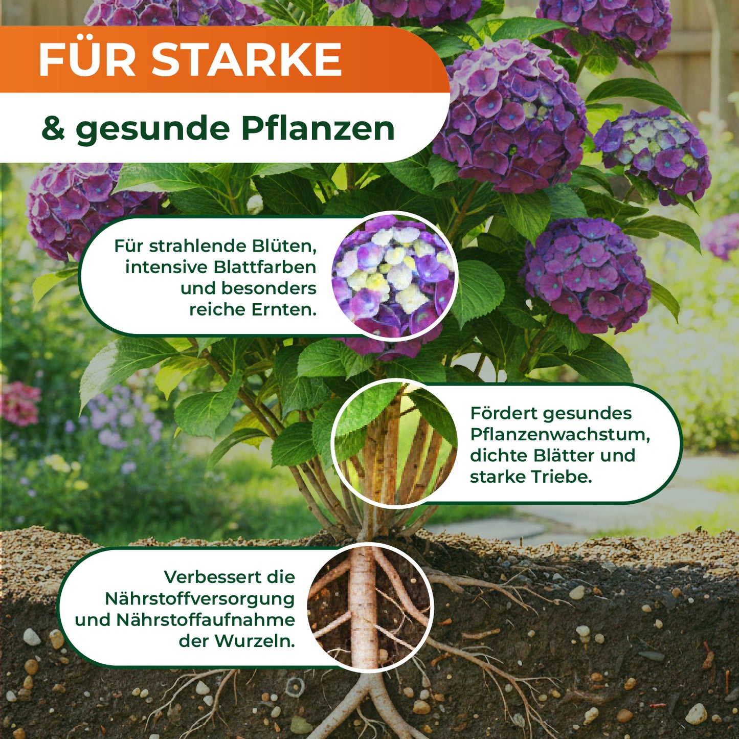 Melko - Organischer Mehlwurmkotdünger für Garten & Pflanzen