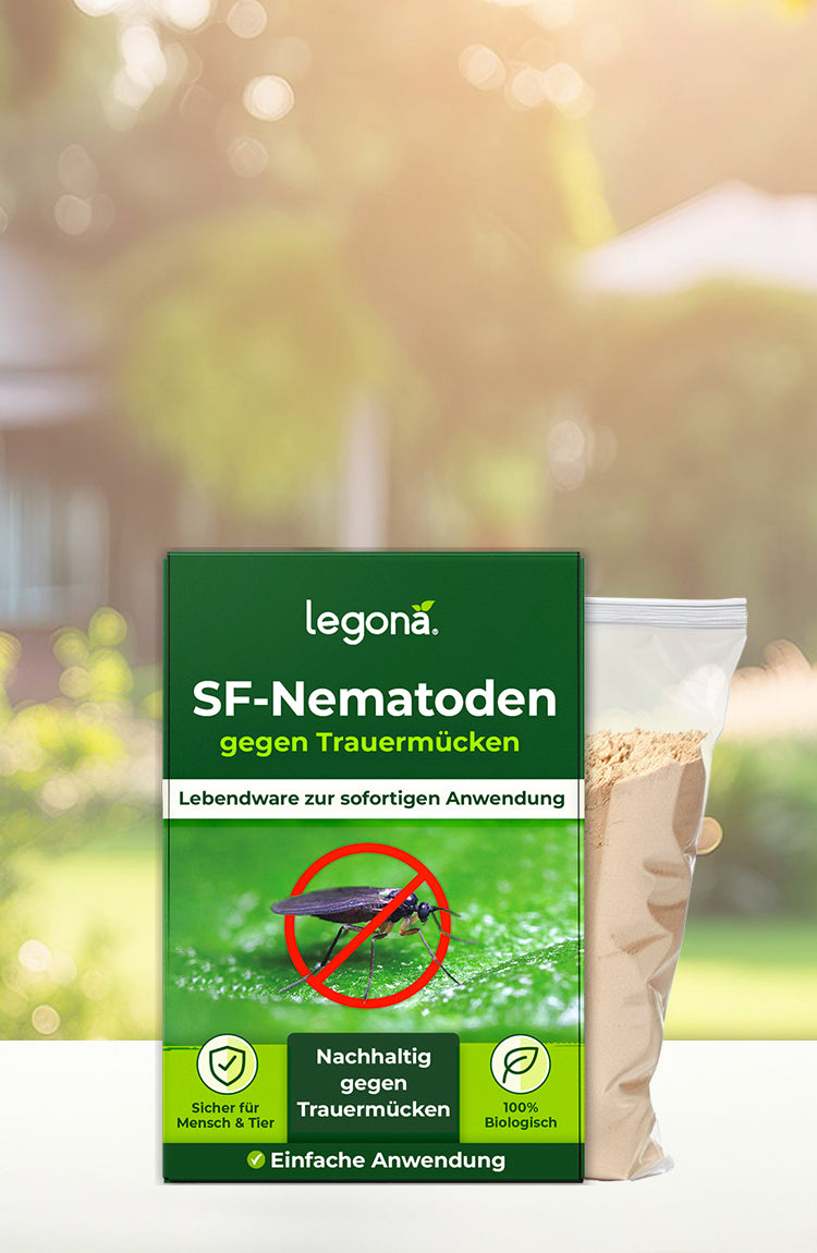 Verpackung von Legona SF-Nematoden gegen Trauermücken mit grünem Etikett und Symbolen für nachhaltige Anwendung und einfache Nutzung vor unscharfem Garten-Hintergrund