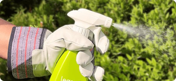 Hand mit Arbeitshandschuh hält grüne Sprühflasche und sprüht Wasser auf grüne Pflanzen im Garten
