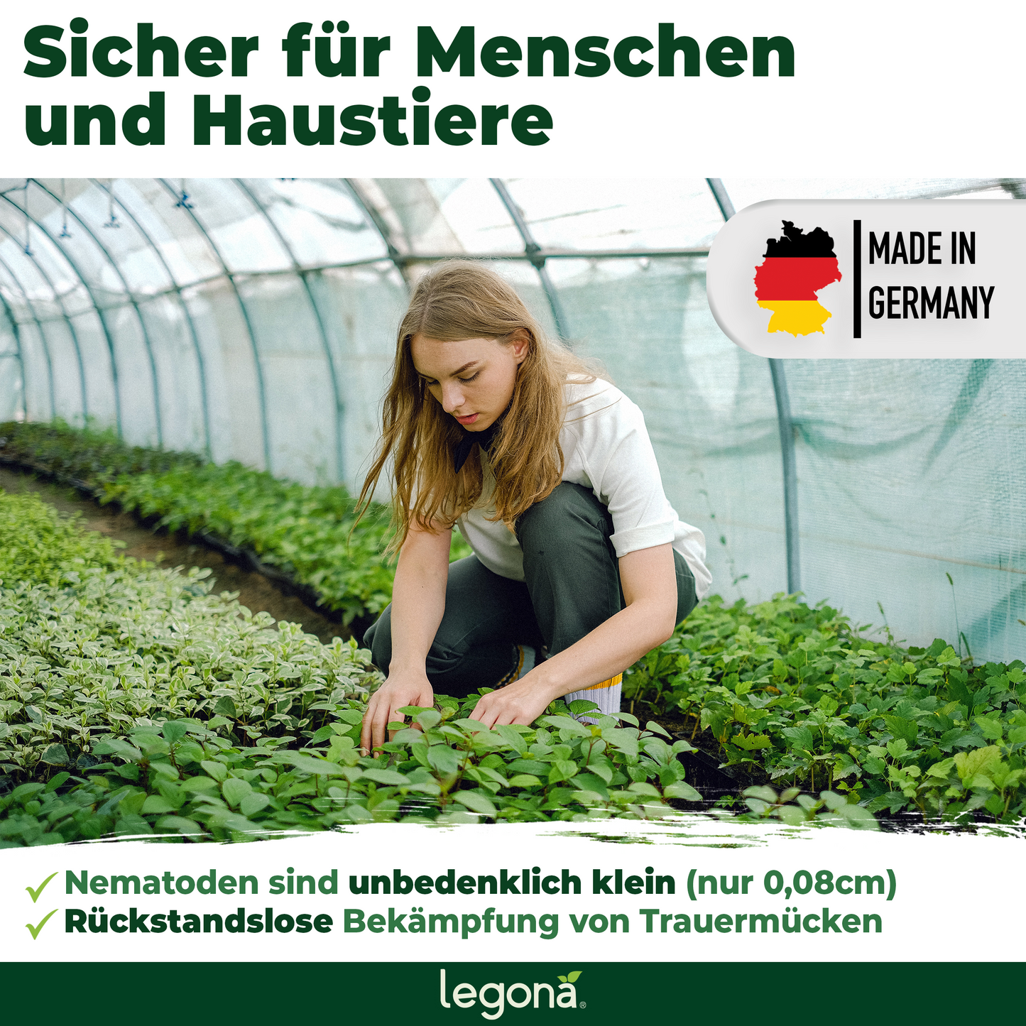 SF-Nematoden gegen Trauermücken